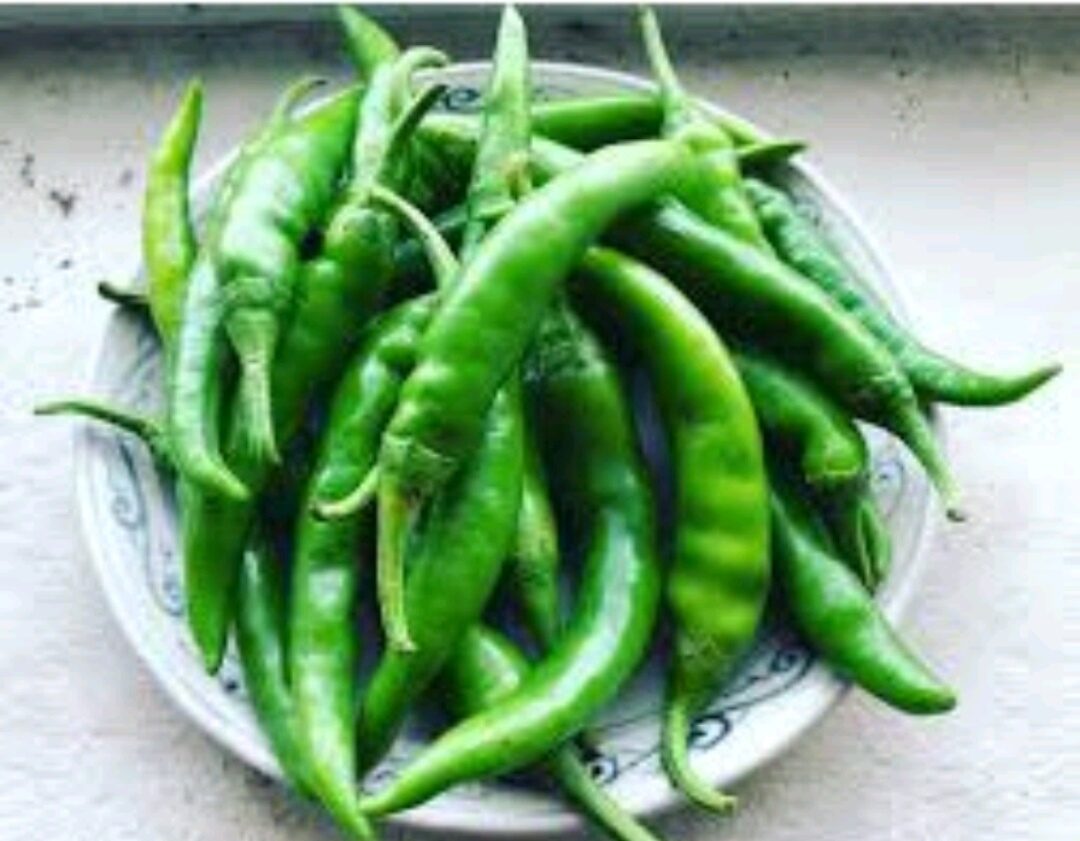 1KG ỚT XANH ÍT CAY DÙNG ĐỂ KHO CÁ (ĐẶC SẢN HUẾ _và ĐÀ NẴNG)