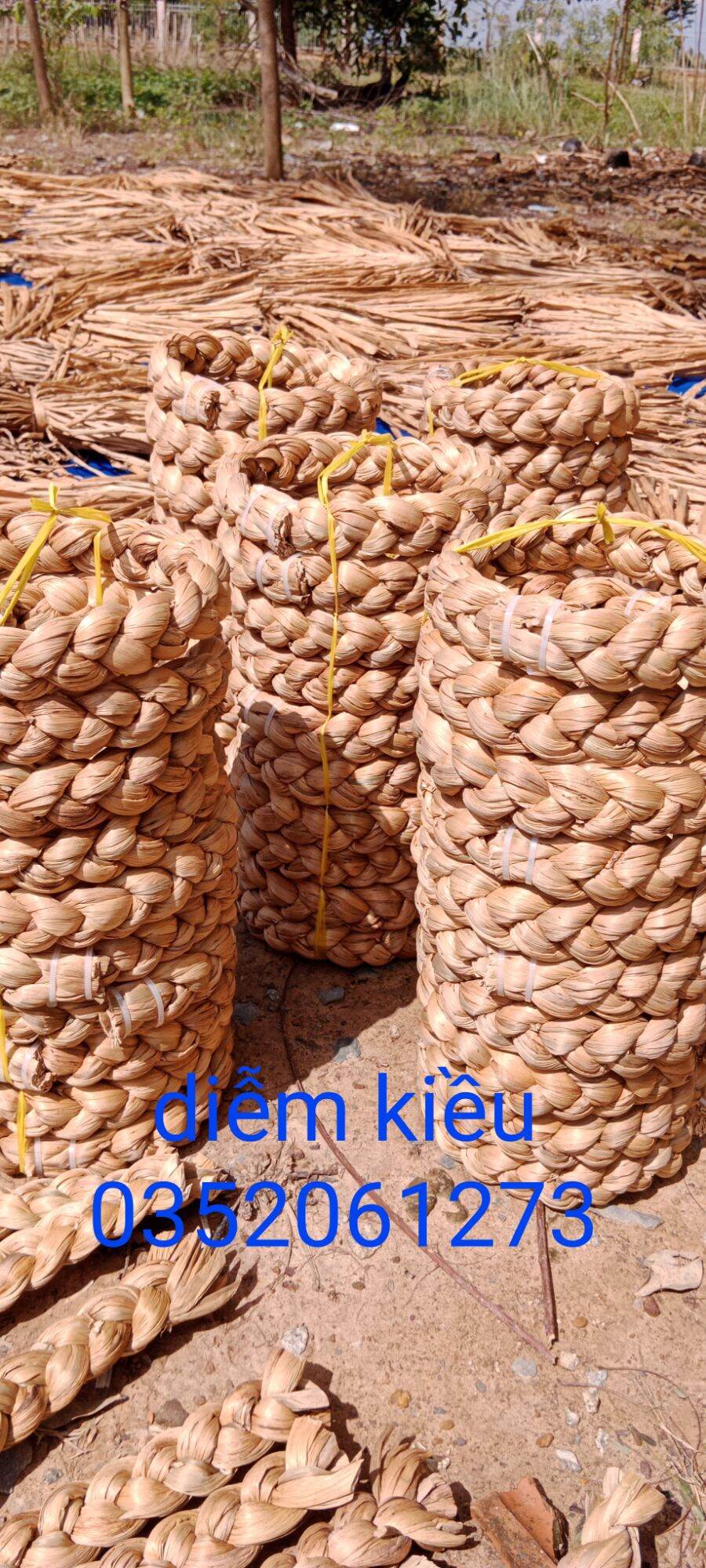 Đế chưng dừa