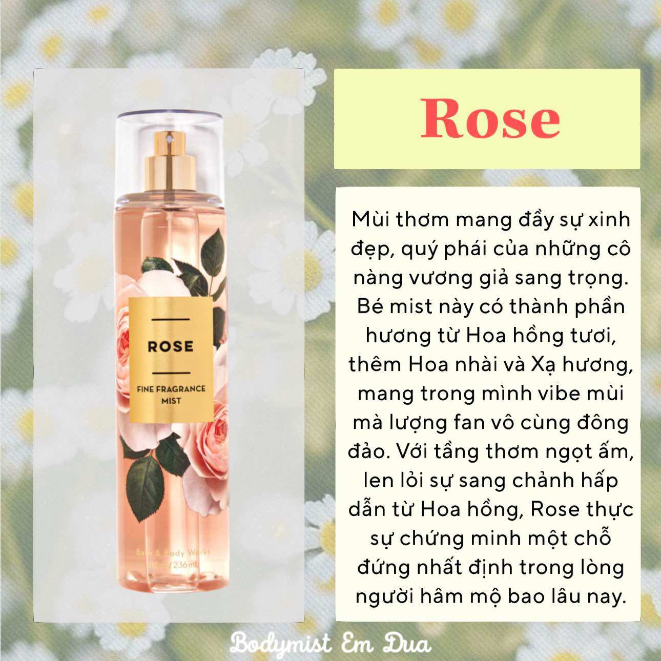 Xịt thơm toàn thân bodymist - mùi hương rose hoa hồng 236ml - bodymist em dứa