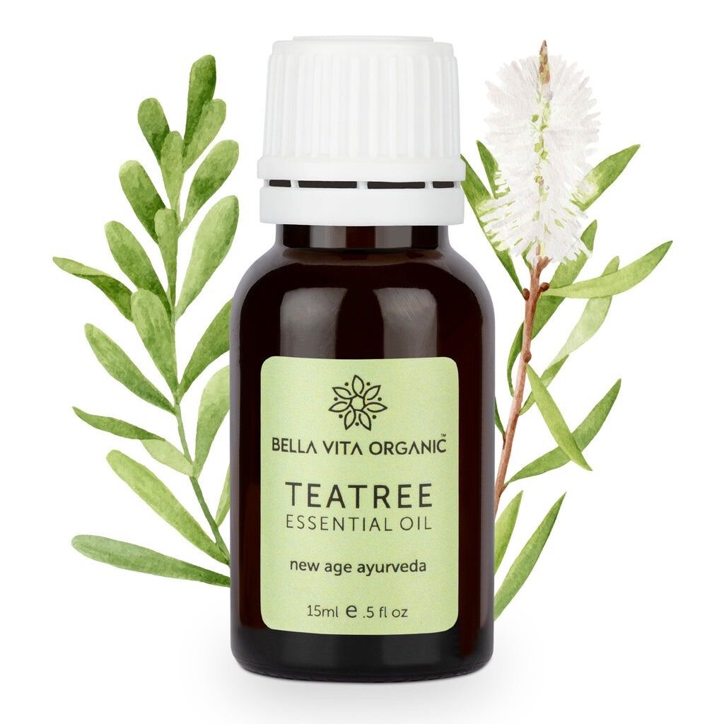 Tinh dầu tràm trà teatree nguyên chất chính hãng ấn độ 15ml