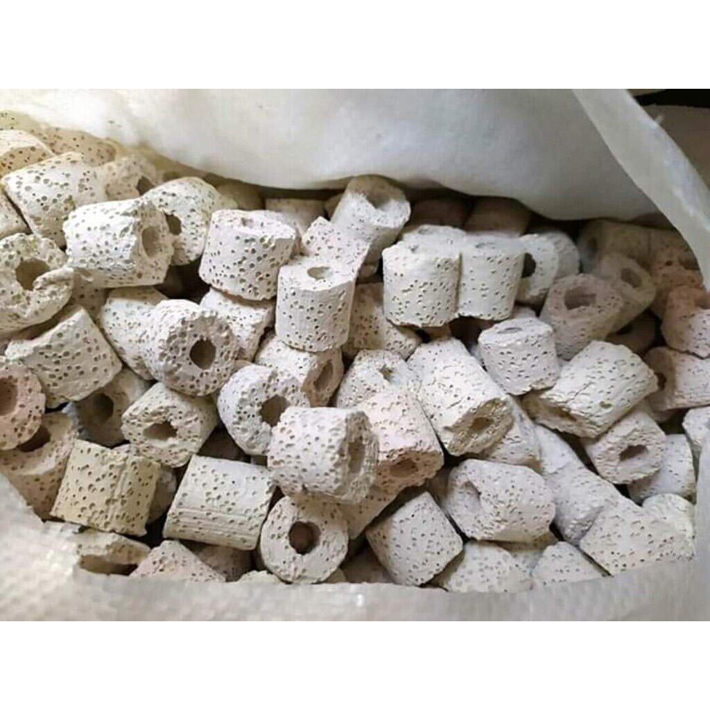Sứ lỗ lọc bể cá