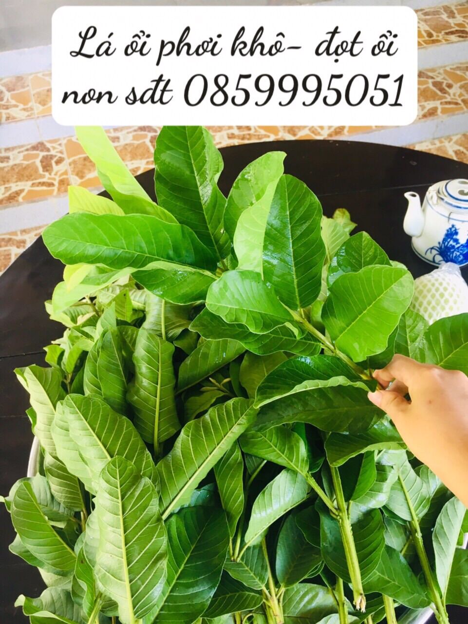 Đọt ổi phơi khô nguyên đọt 0,5kg