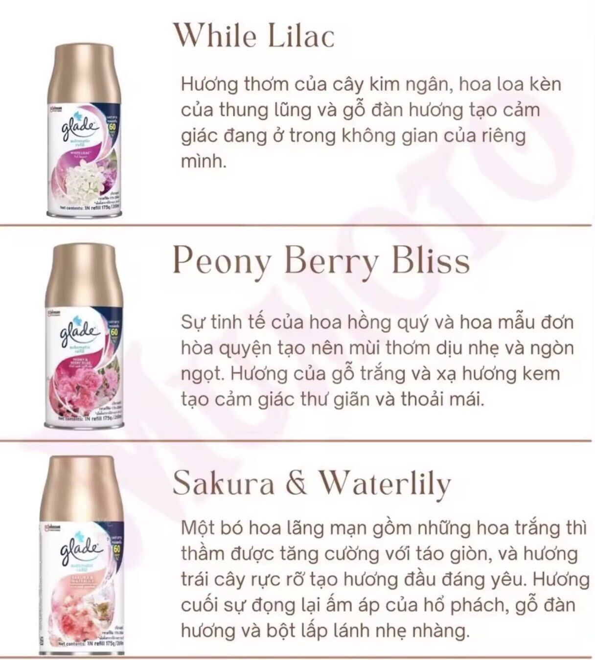 Xịt thơm phòng tự động Glade hương levender