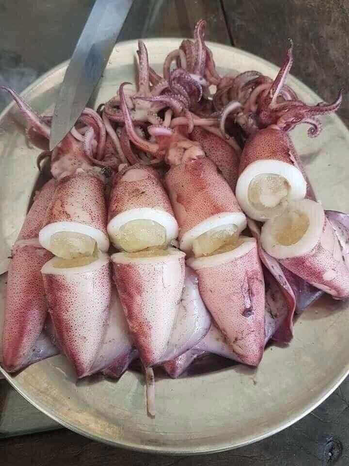1kg Mực trứng