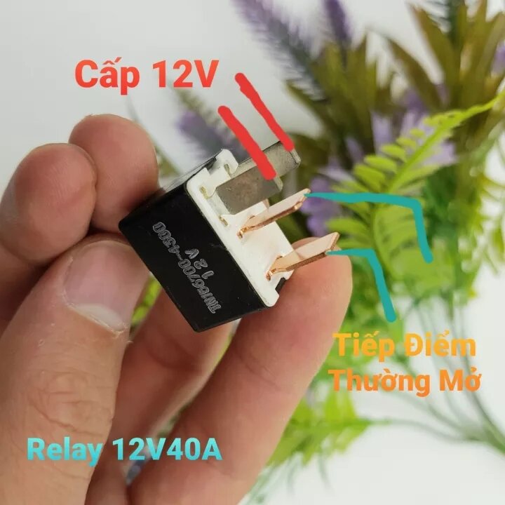 COMBO Relay Denso 12V40A Loại 4 Chân