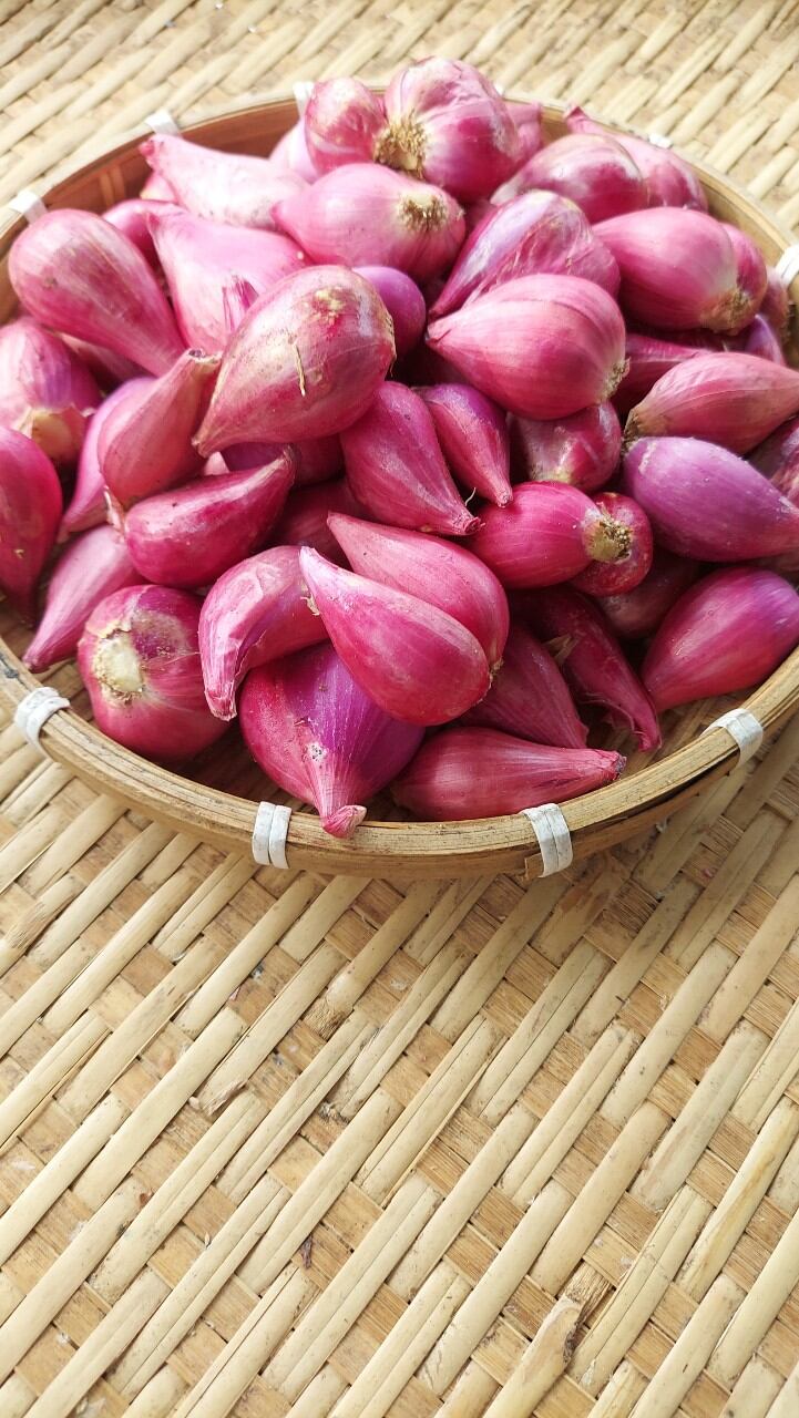 Hành tím Lý Sơn