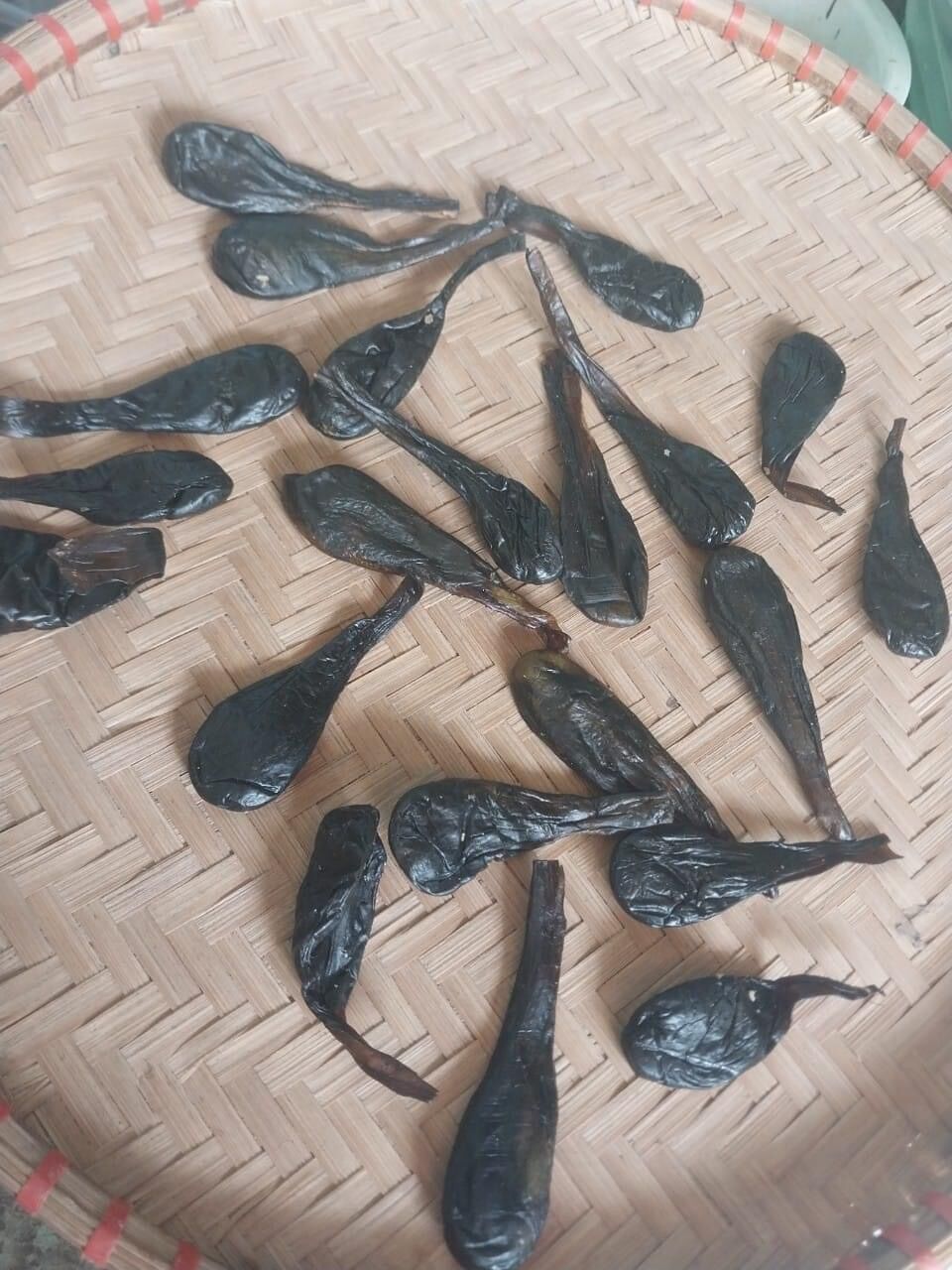 Mật kì đà