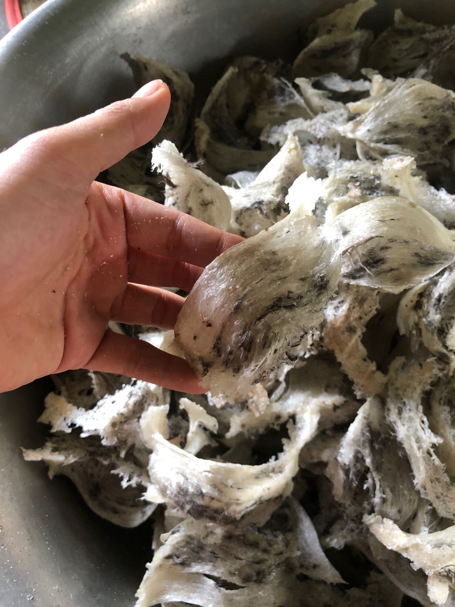 1Lạng tổ yến thô thiên nhiên tổ yến thô nhà nuôi tổ già shop tặng kèm nhíp và đồ chưng