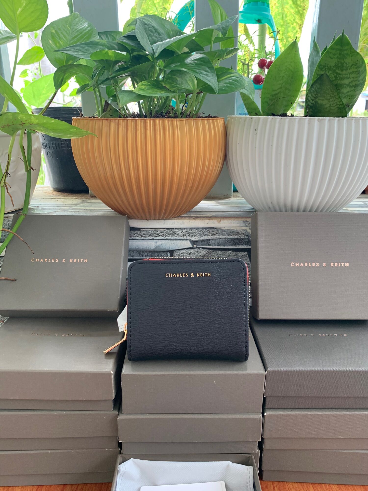 Ví charles & keith