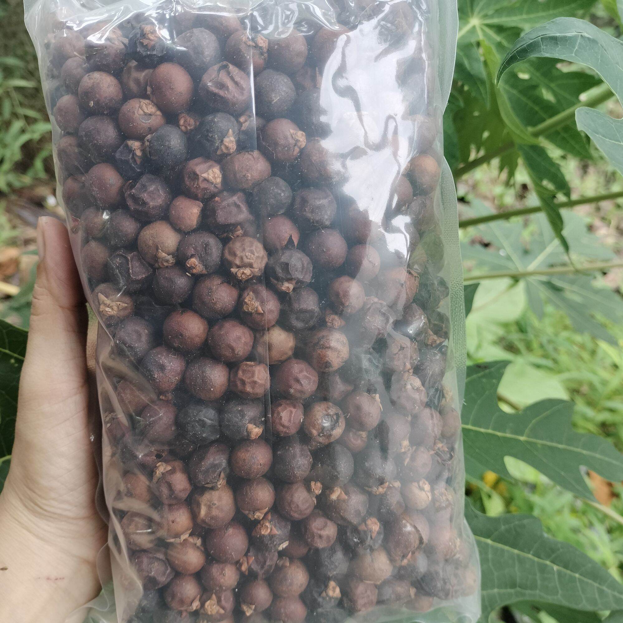 Đủng Đỉnh sấy khô/ tươi 1kg