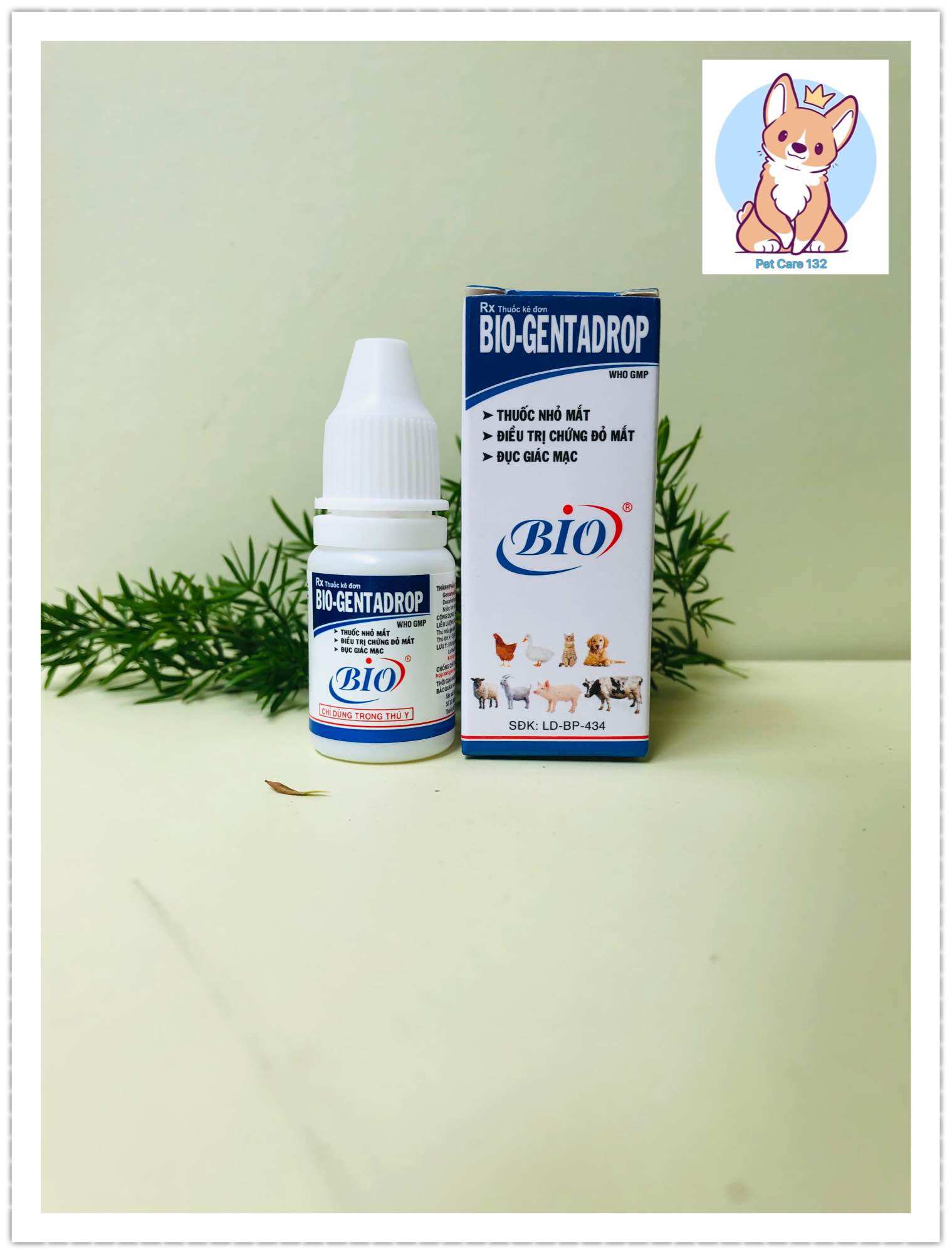 1 lọ 10ml Biogentadrop-Nhỏ mắt cho chó, mèo.