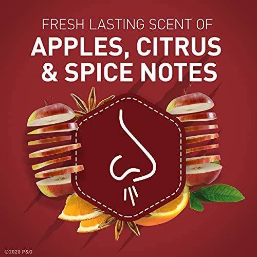 Lăn khử mùi OLD SPICE BEARGLOVE ( 73g ) - Old Spice Mỹ