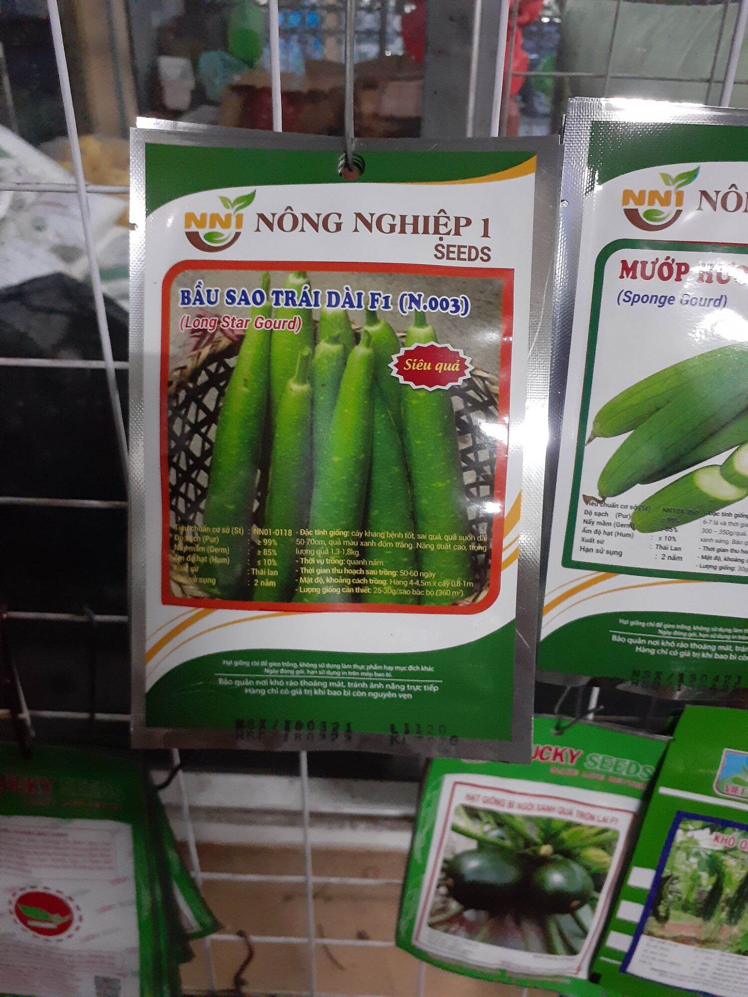 BẦU SAO TRÁI DÀI F1