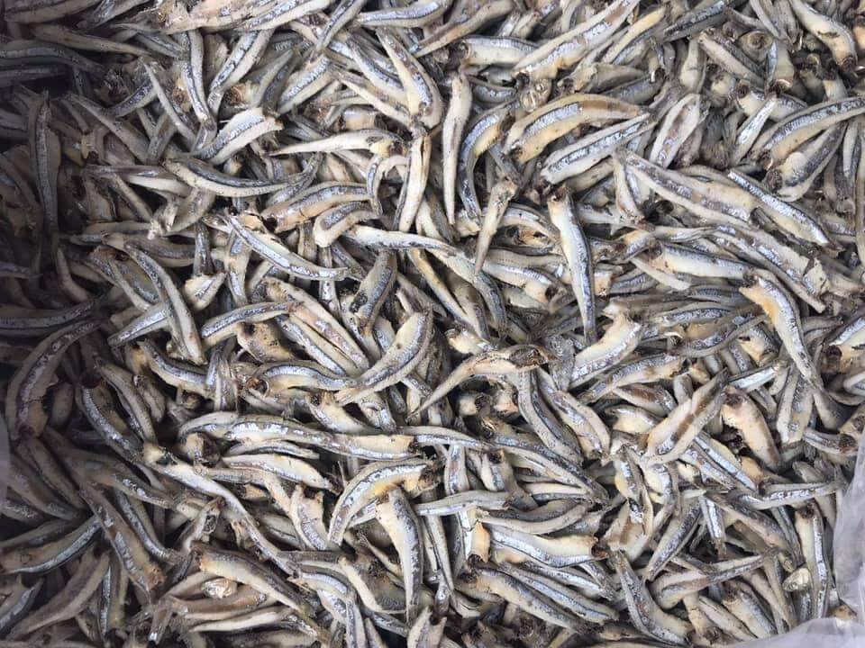 1kg Cá cơm xanh khô ngon