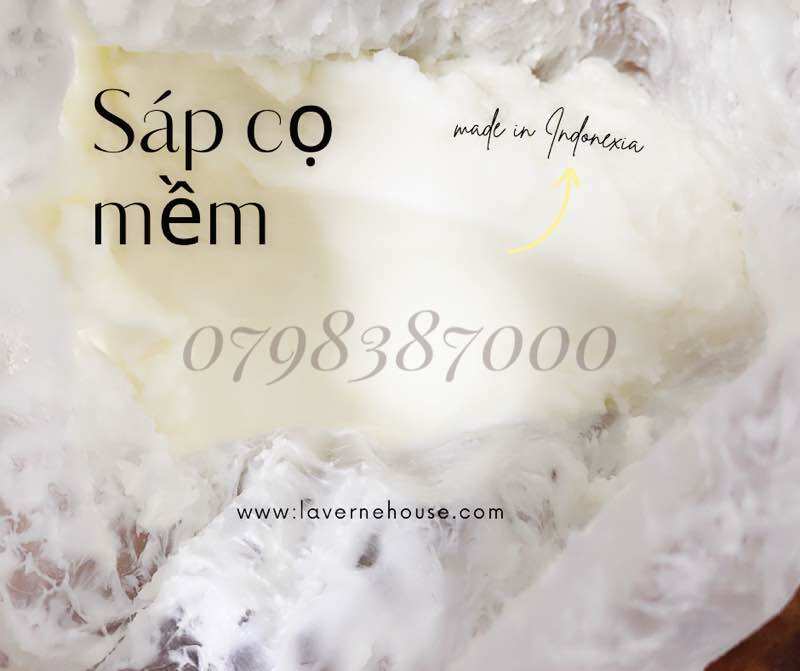 Sáp cọ mềm cao cấp Plam wax làm nến