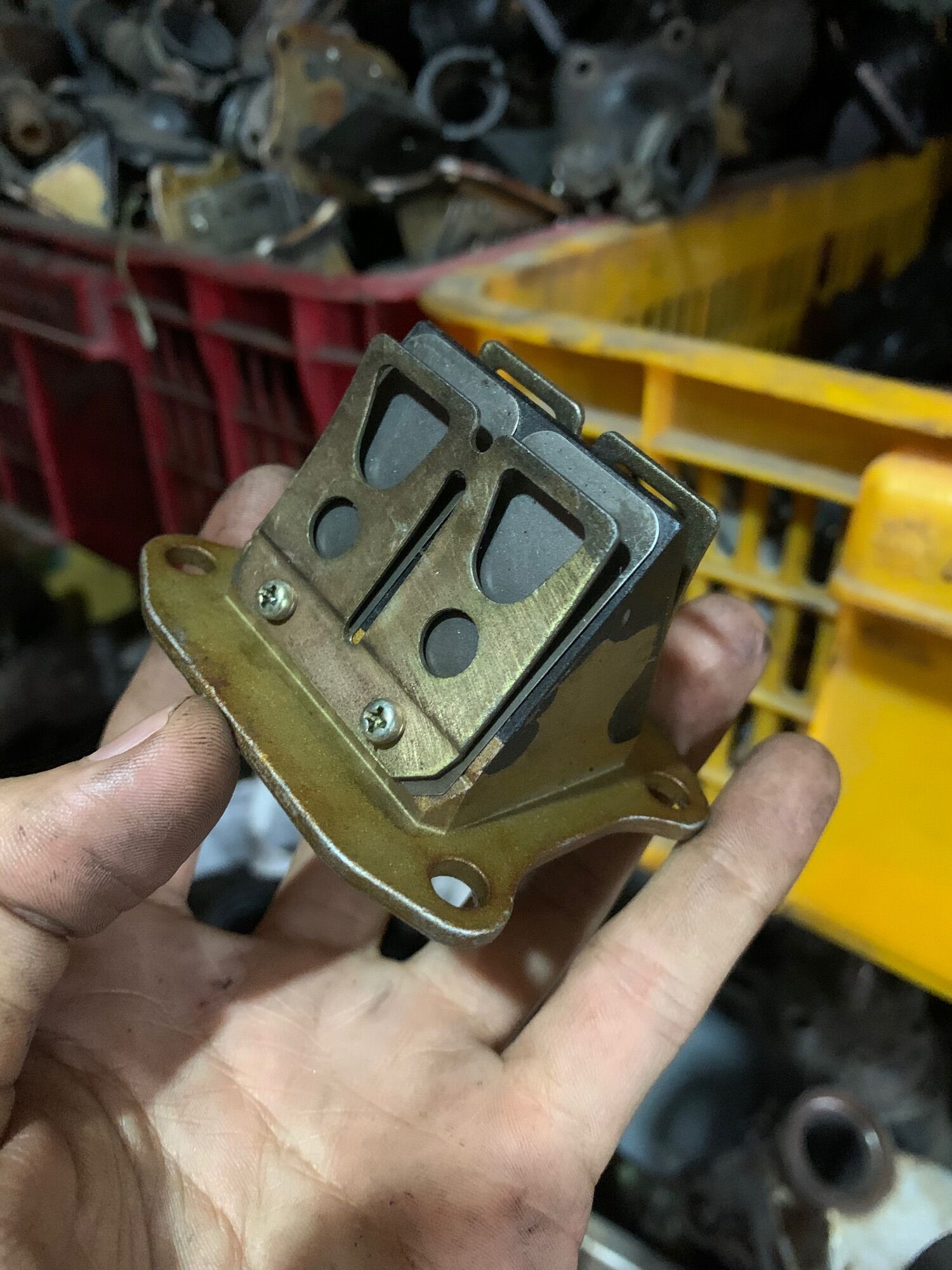 [HCM]Lưỡi gà Nova dast