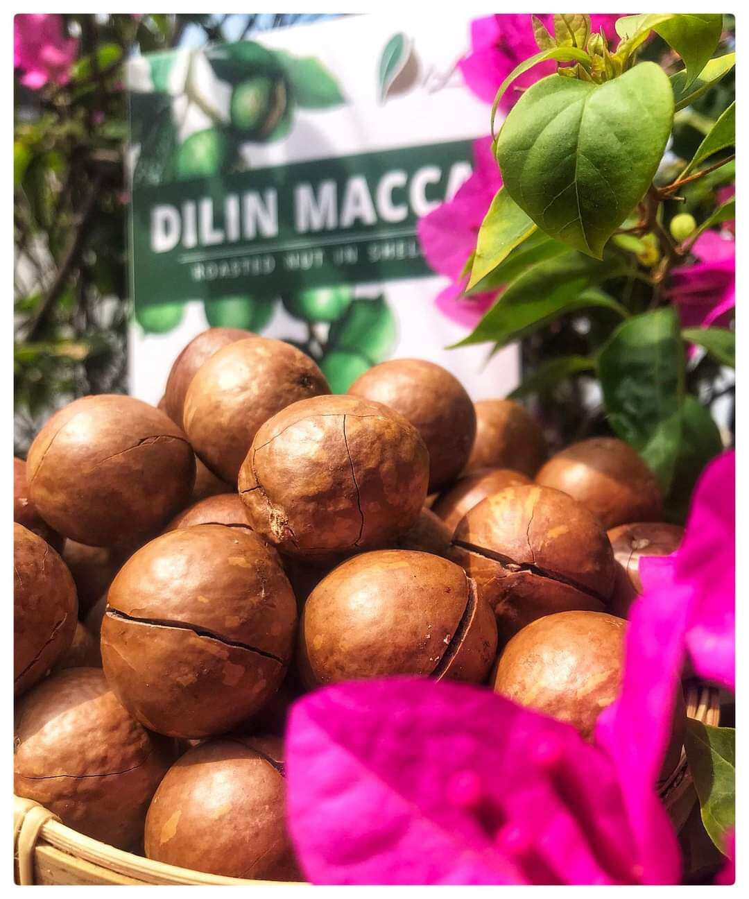 1 gói 500 gr macca sấy khô