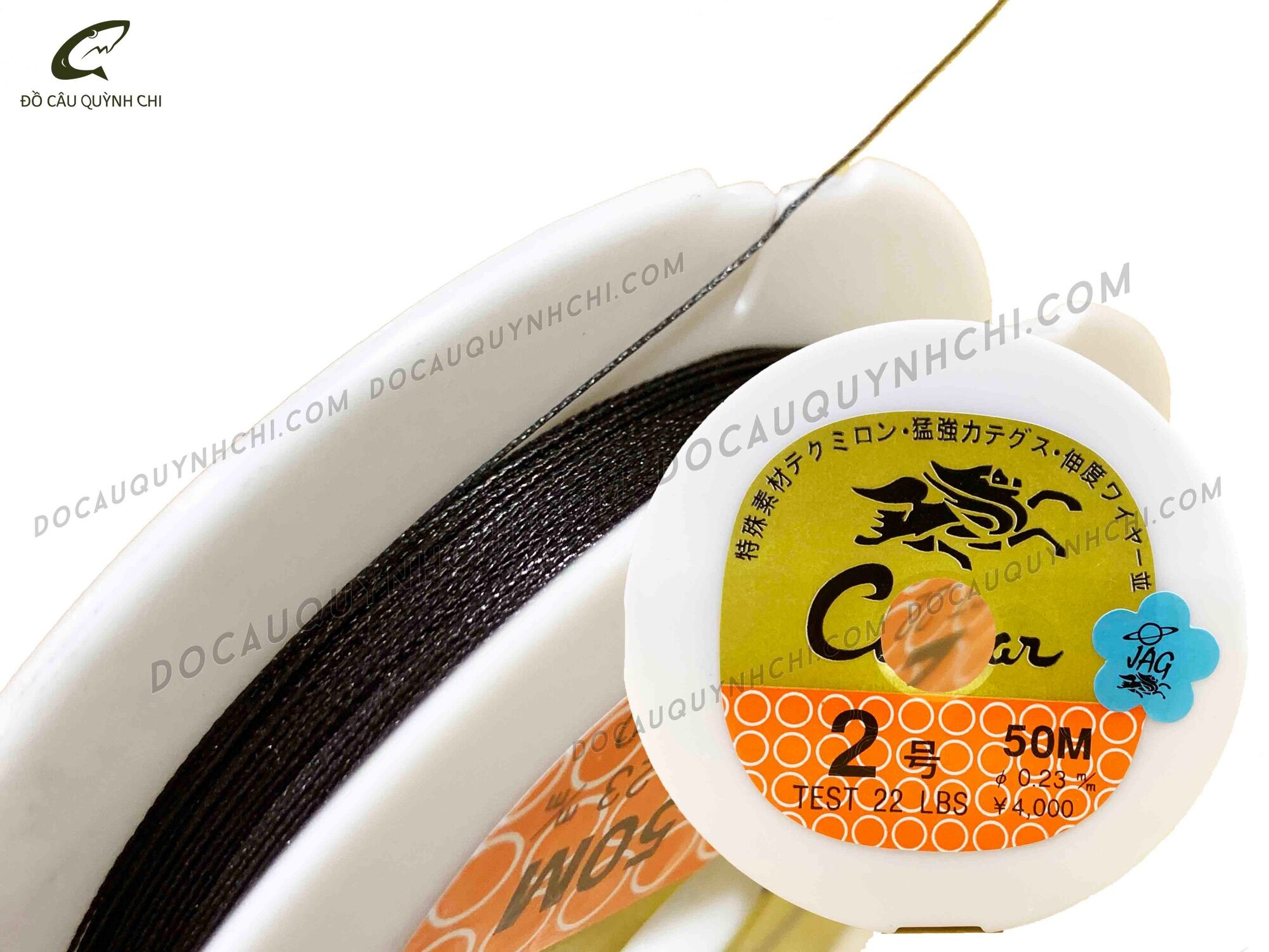 DÙ RỒNG - 50M [ĐỒ CÂU QUỲNH CHI - MINH HG]