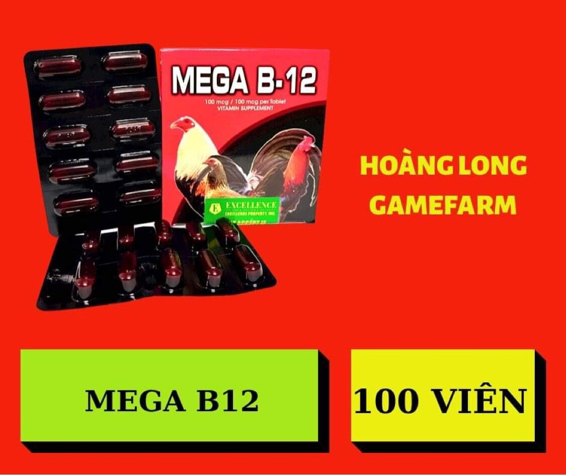 Mega b12 dinh dưỡng cho gà đá