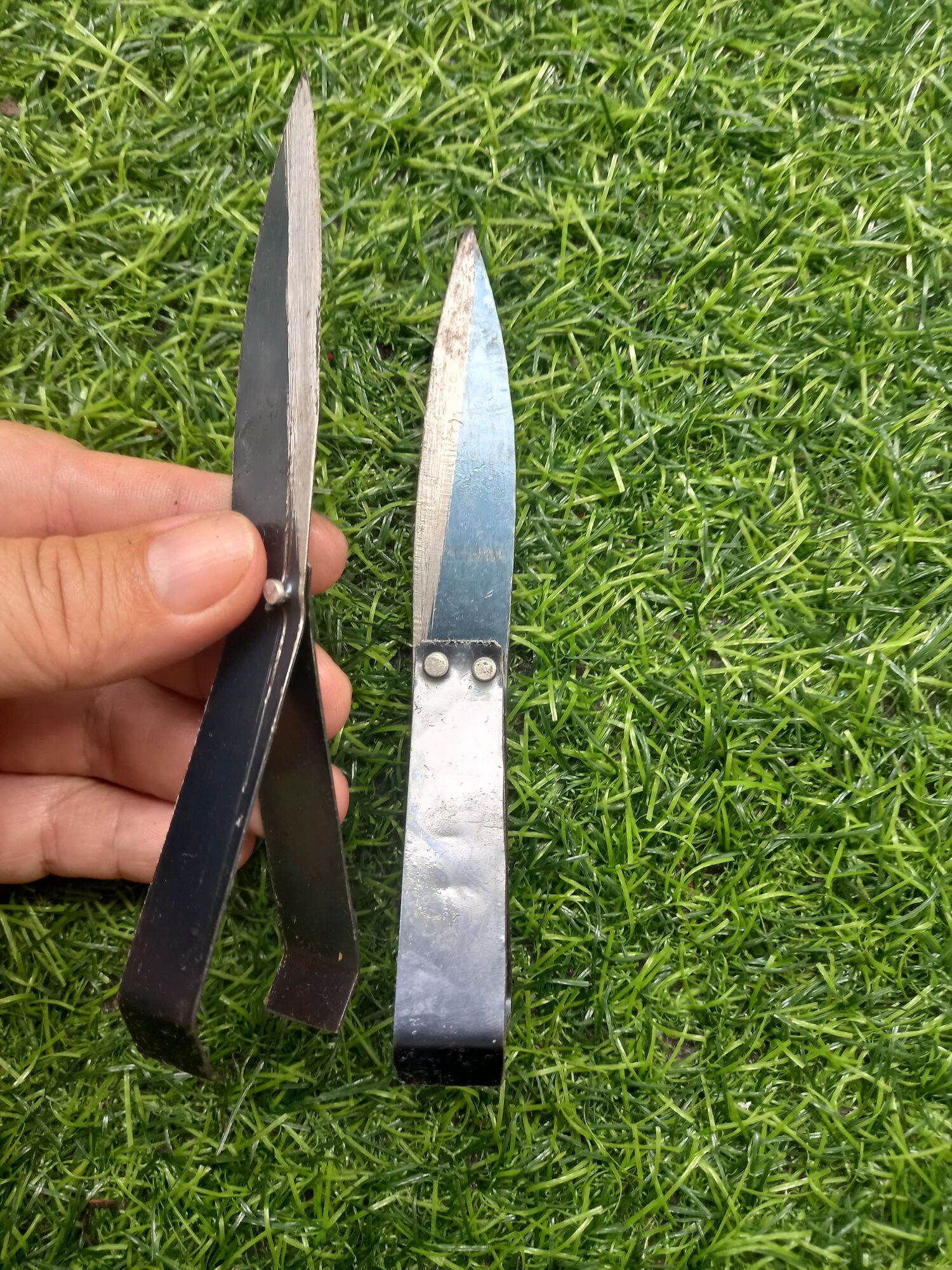 Nhíp nhổ lông gà vịt