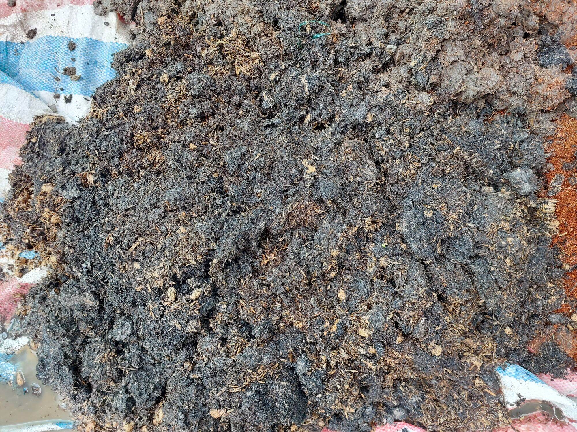 đất trồng rau, hoa,  cây cảnh BINMIX 5kg