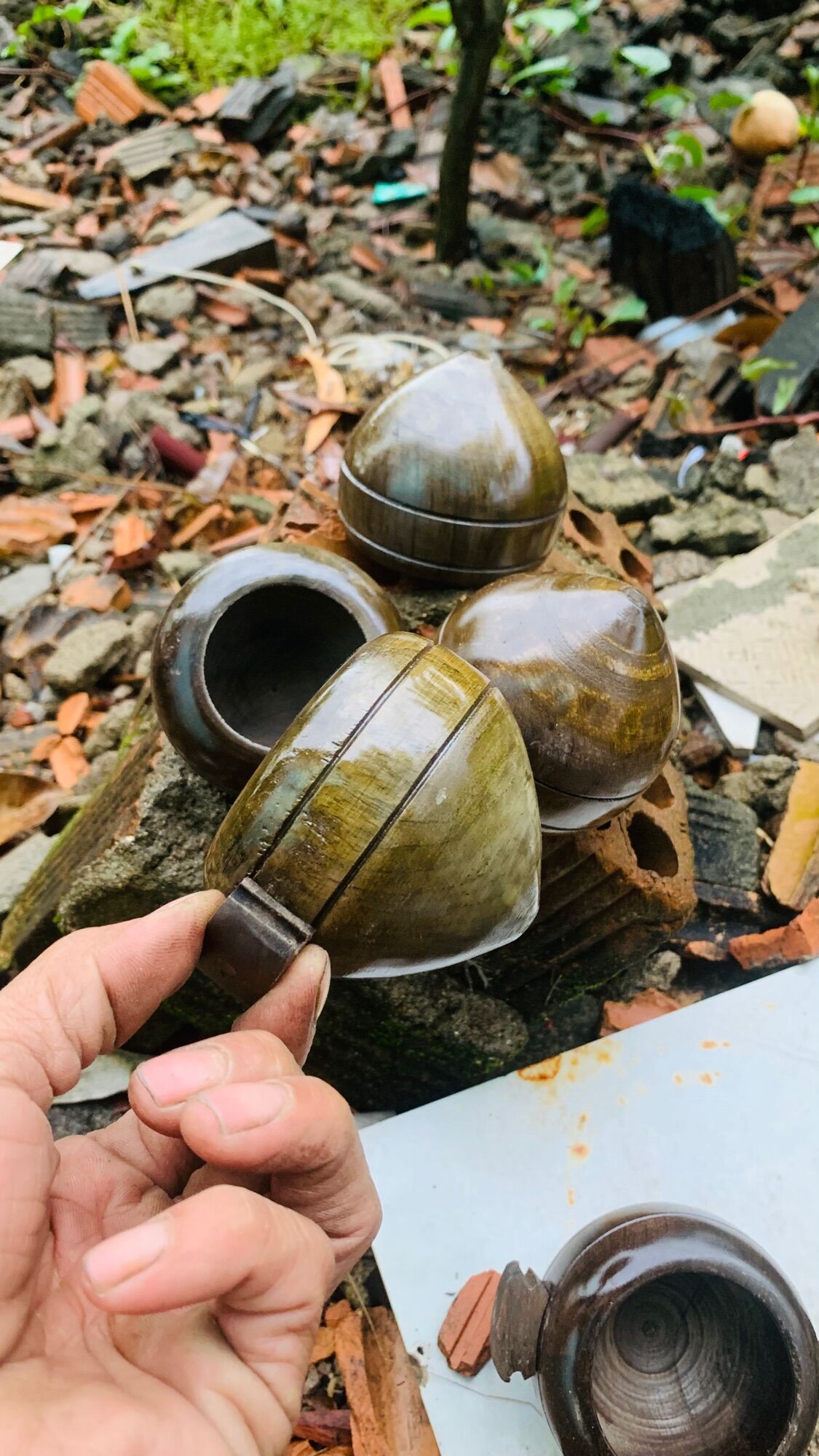 Cóng đựng thức ăn cho chim