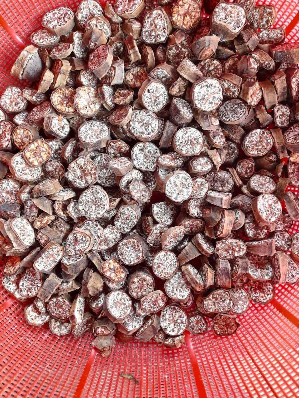 Chuối hột