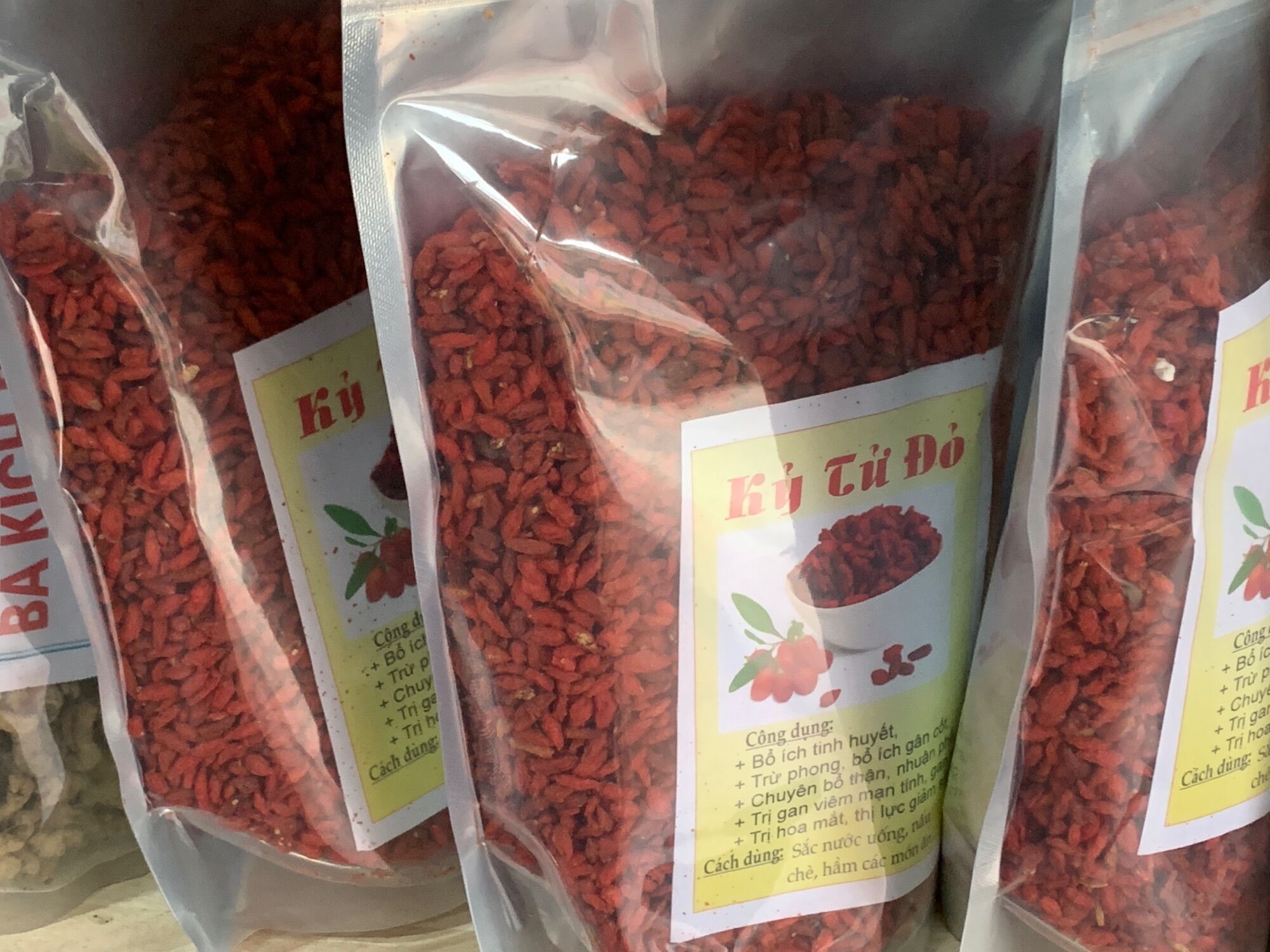 KỶ TỬ ĐỎ