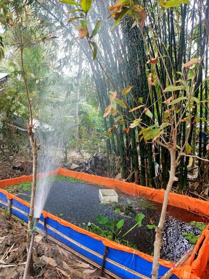 Bể bạt nuôi ốc , ếch , cá , lươn , chạch - 5x2x1 tú phương