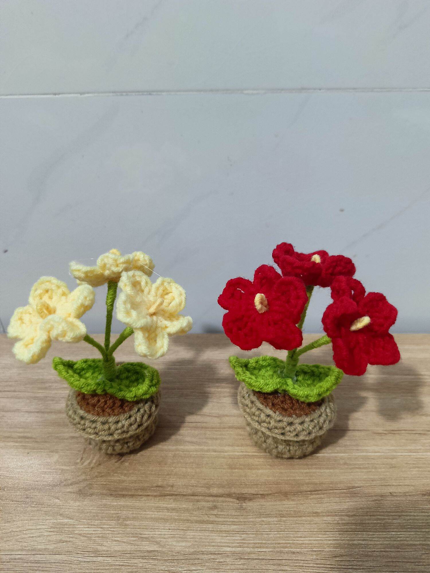 Chậu hoa mini xinh xắn