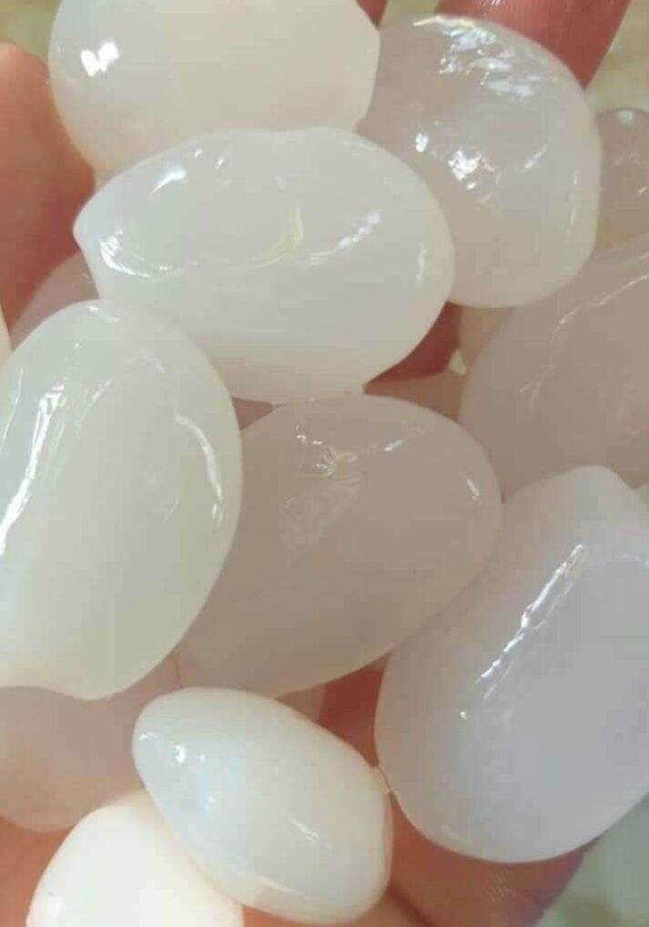 1kg đác tươi Phú Yên