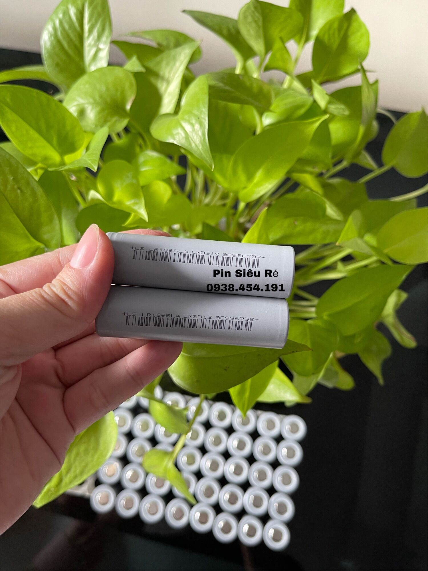 [HCM]Lisen Xám New Mẫu mới