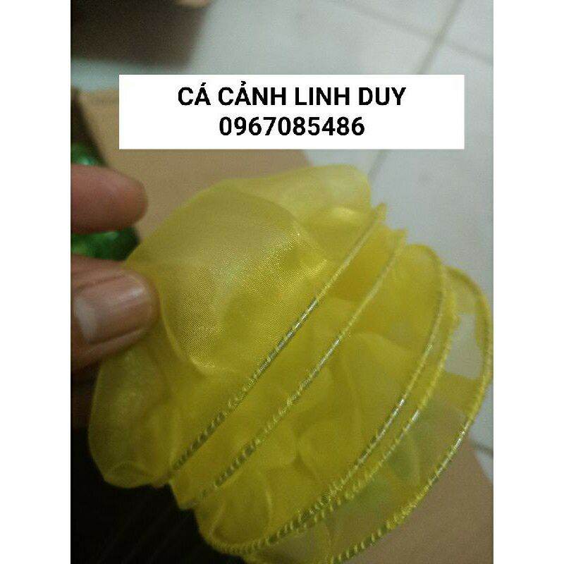 VỢT VỚT CÁ LƯỚI MỊN , VỢT VỚT CÁ NHỎ , VỢT VỚT CÁ