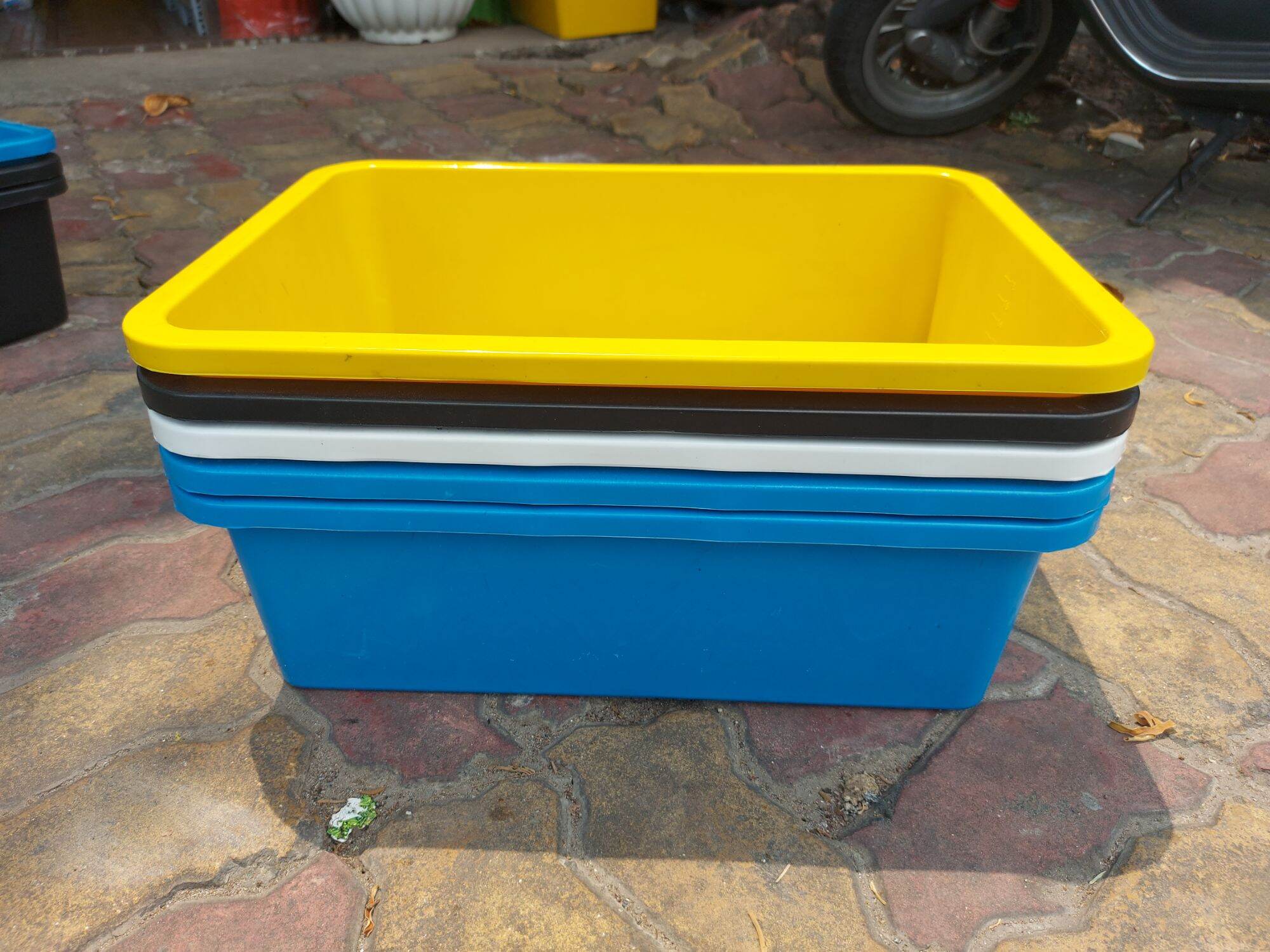Combo 5 khay 20 lít(50x36x16cm) nuôi cá guppy, betta