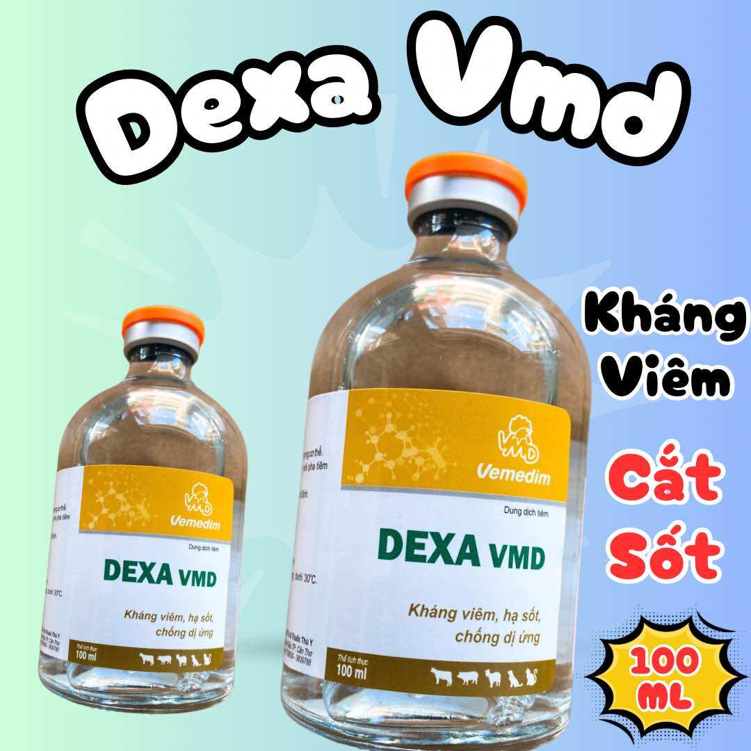 Dexa Vmd hạ sốt, kháng viêm, chống dị ứng cho heo, trâu, bò