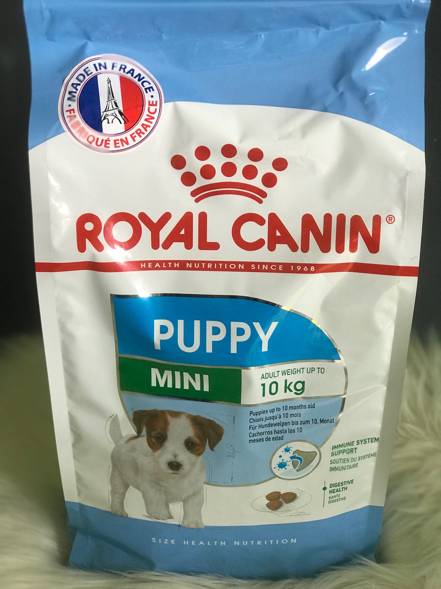 Thức ăn hạt Royal puppy mini cho cún