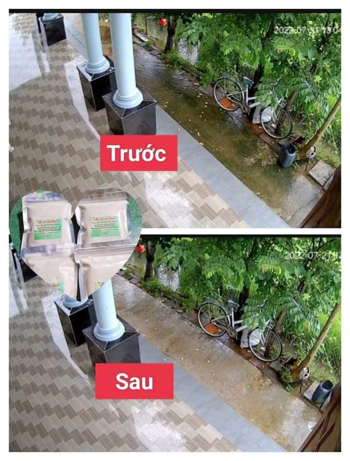Bột tẩy rong trên nền xi măng