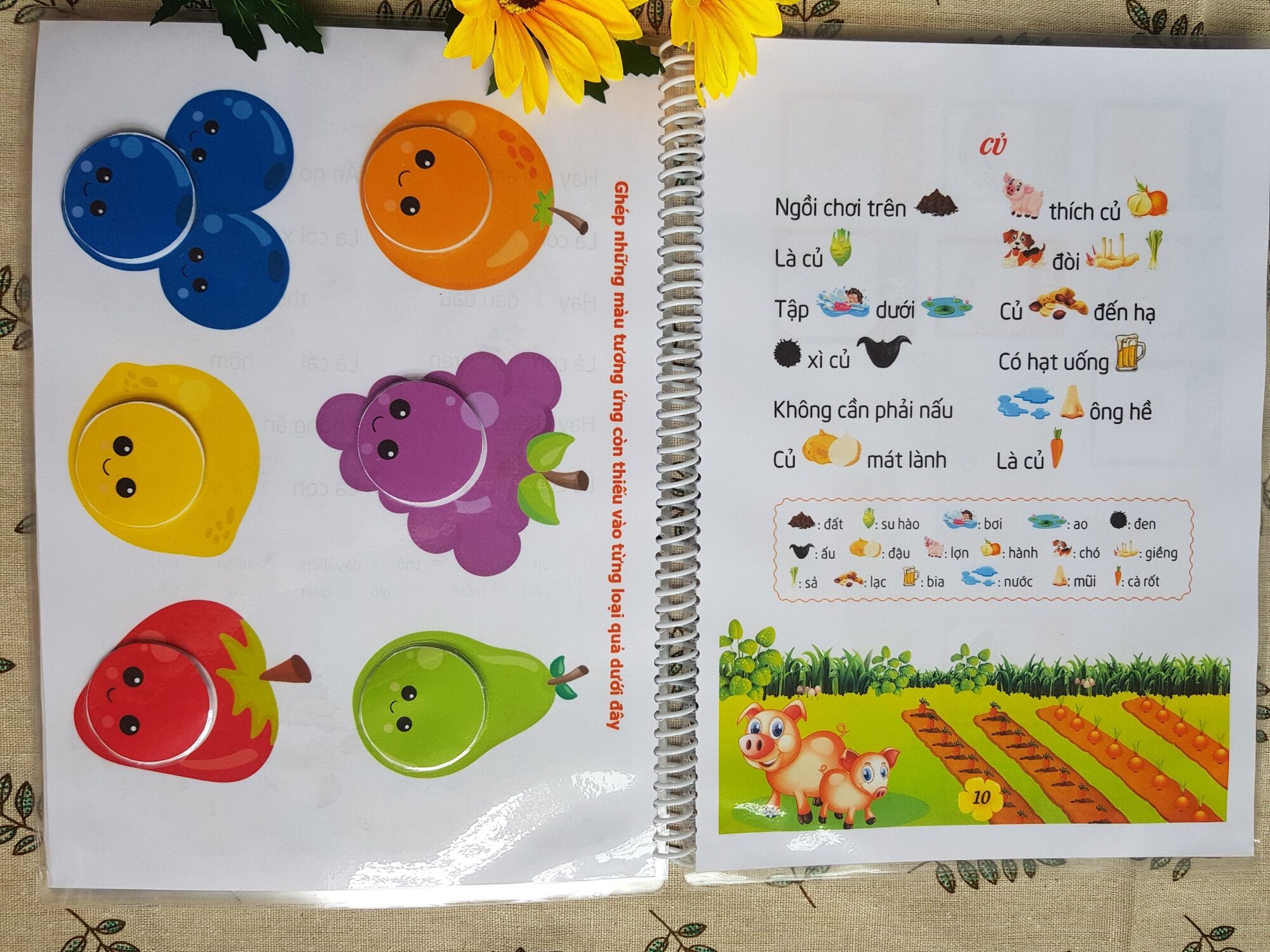 Học liệu bóc dán 2in1