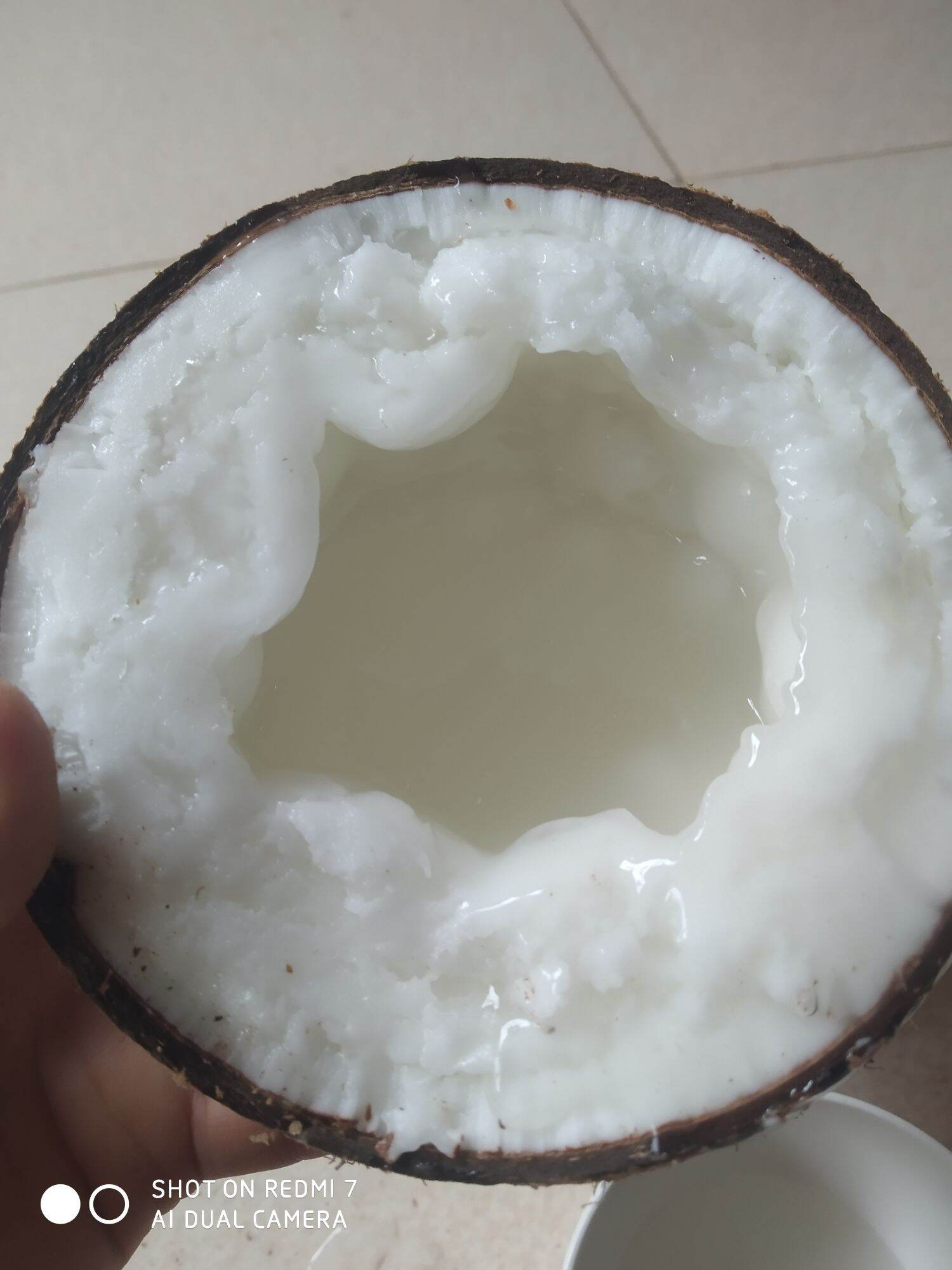 Dừa sáp đặc sản Trà Vinh