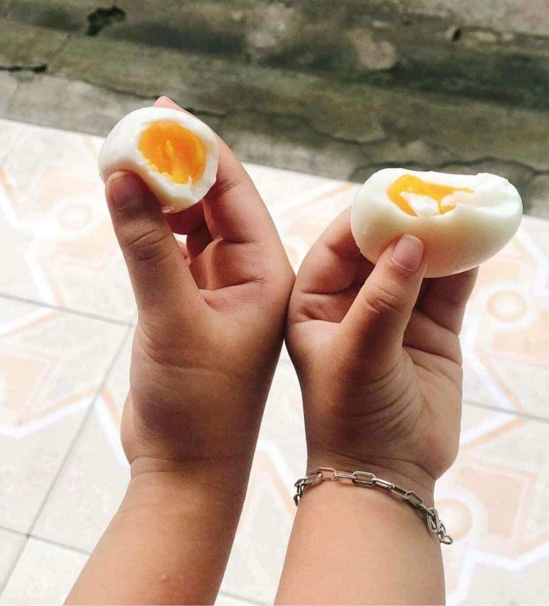 Trứng chim trĩ ăn bỗ 10 trứng