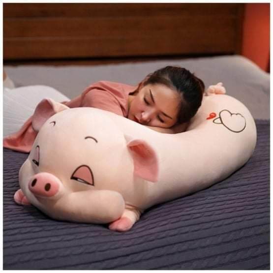 Gấu bông heo lười size to 40cm-55cm- 75cm- 1m. heo lười khổng lồ cho bé ôm mang đi chơi du lịch... gấu bông thiết kế dễ thương. vải mềm mịn đường may đẹp, heo hồng mắt hí dễ thương