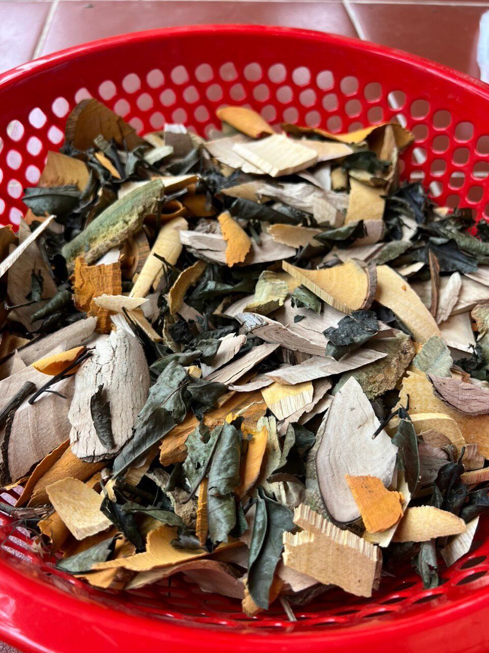 Dược liệu Tây Bắc: Cây lá gan