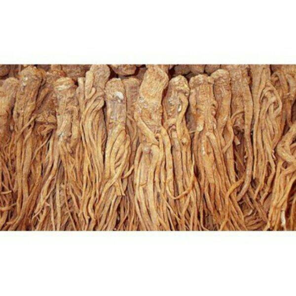 200g sâm quy - sâm đương quy