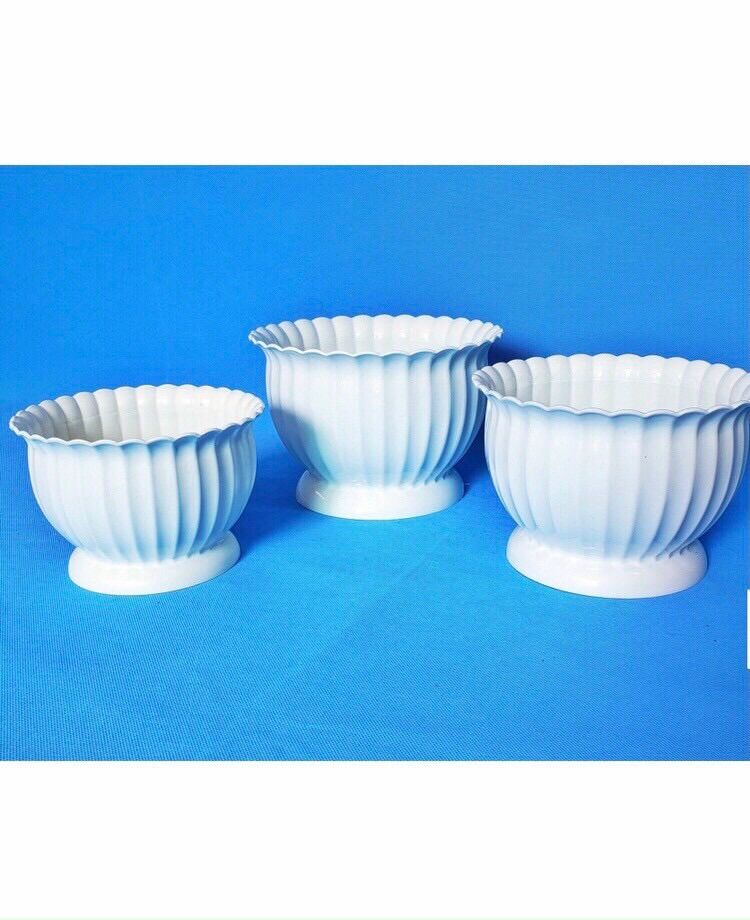 Chậu nhựa trồng cây
