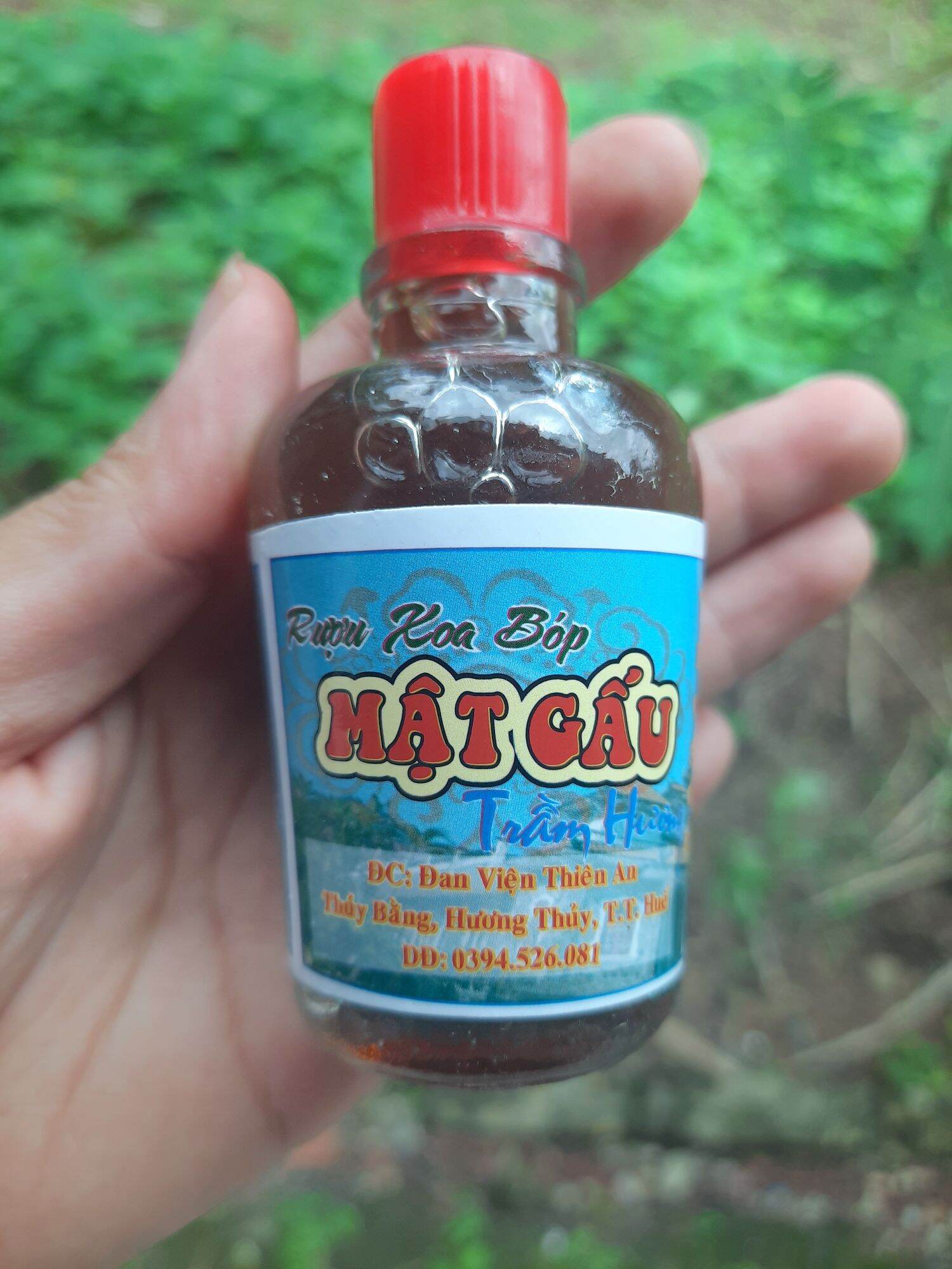 Combo 5 chai dầu xoa bóp cây mật gấu