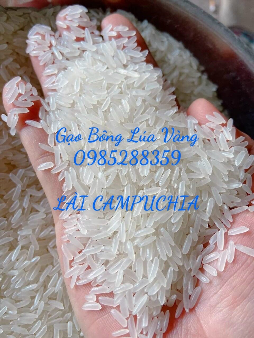 LÀI MIÊN CPC