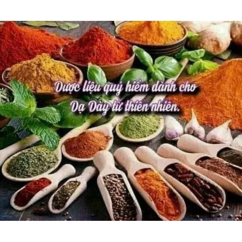 THẢO MỘC DẠ DÀY TRẦN KIM HUYỀN