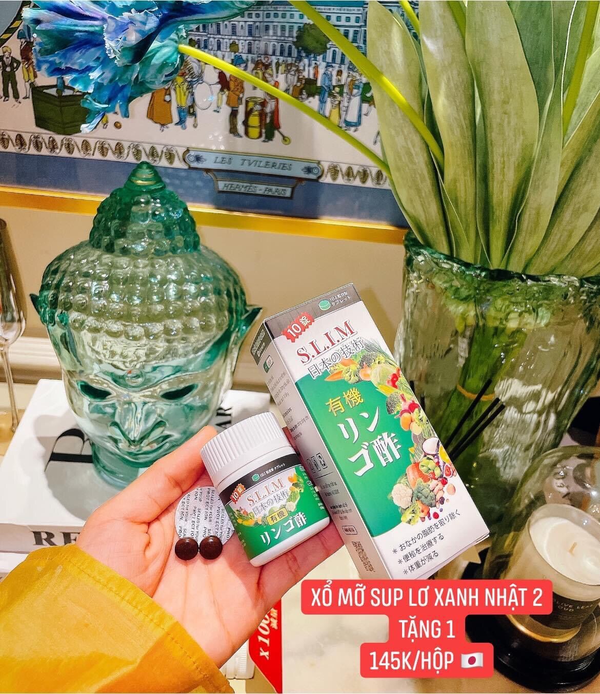 Sổ mỡ súp lơ xanh