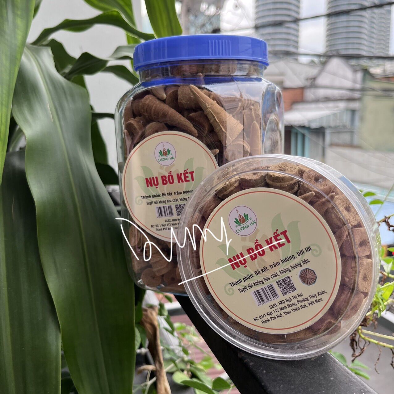 Nụ bồ kết trầm hương Huế, không hoá chất