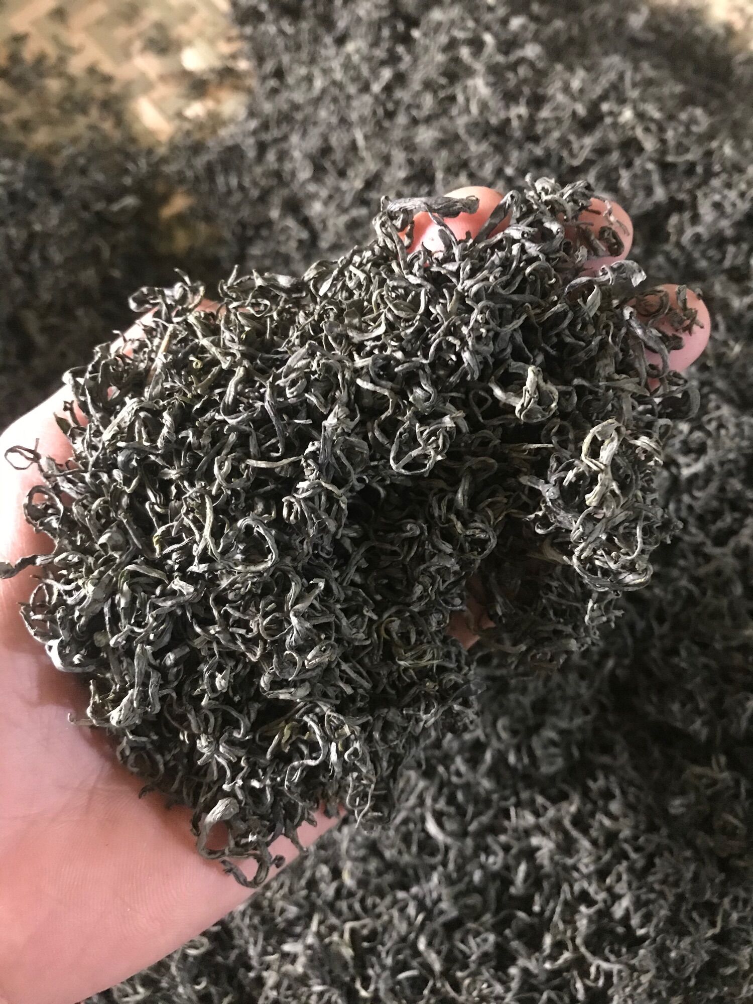 Trà búp tôm nõn Thái Nguyên ( loại ngon đặc biệt ) 1000g